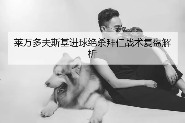 莱万多夫斯基进球绝杀拜仁战术复盘解析 | leyu